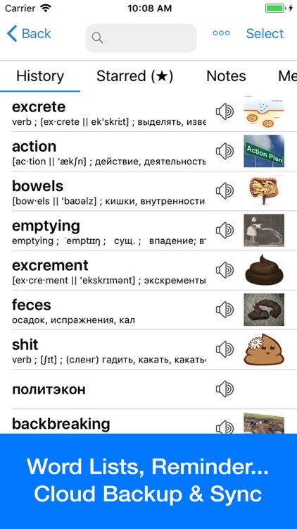 Russian Dictionary - Dict Box