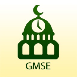 GMSE