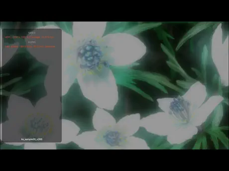 KPlayerAir