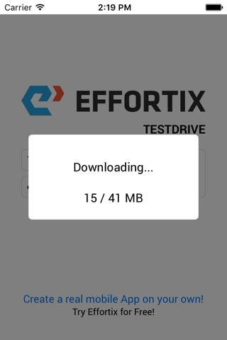 Effortix TestDrive screenshot 2