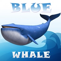 Blue Whale Simulator Mind Game apk