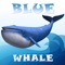 Blue whale simulator is a game which never ends & makes you play for hours