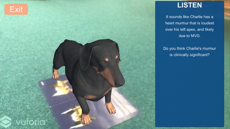 Vetmedin AR Experience