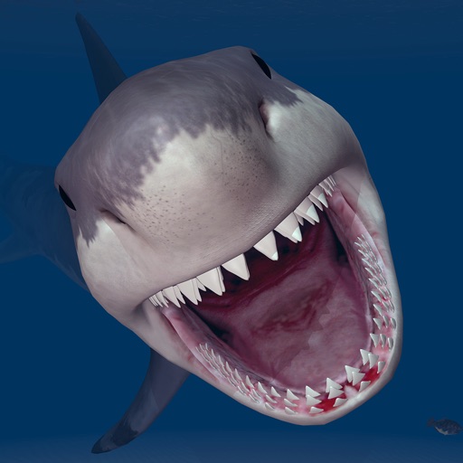 Megadelon Shark Night Scooba icon