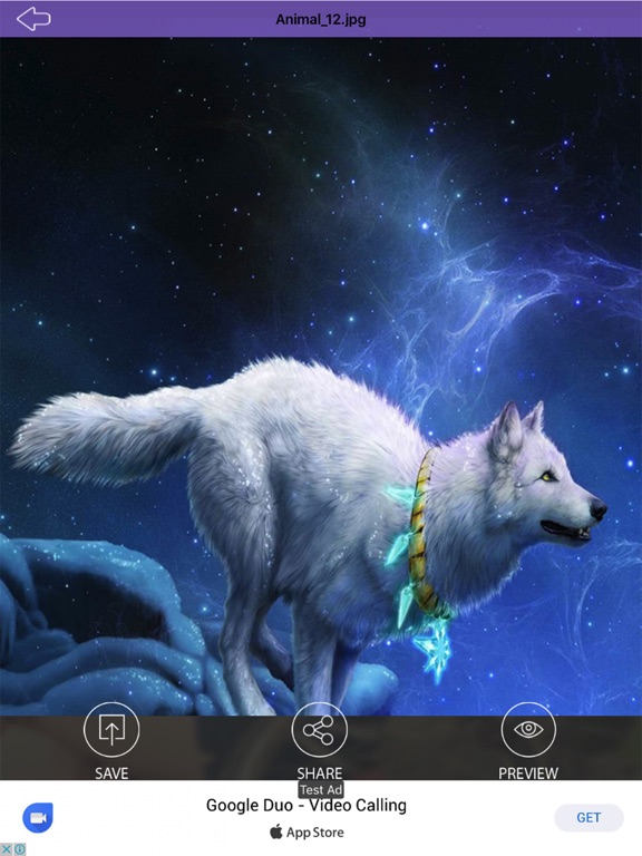 Screenshot #5 pour Wallpaper - Animal,Bird,Funny