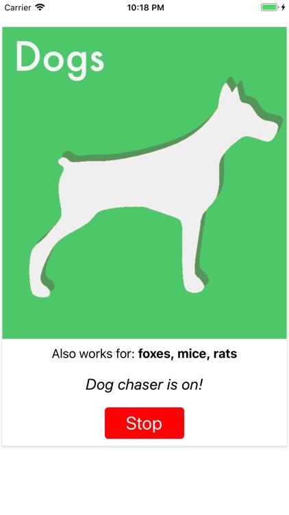 Animal Chaser screenshot-4