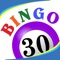 Bingo Thirty™
