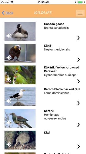 Abel Tasman(圖4)-速報App