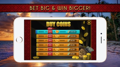 Play Blackjack! screenshot 3