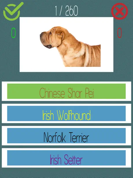 Dog Quiz  (250+ Breeds)