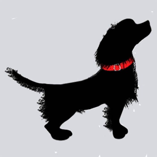 Dog Tracks by john appleby