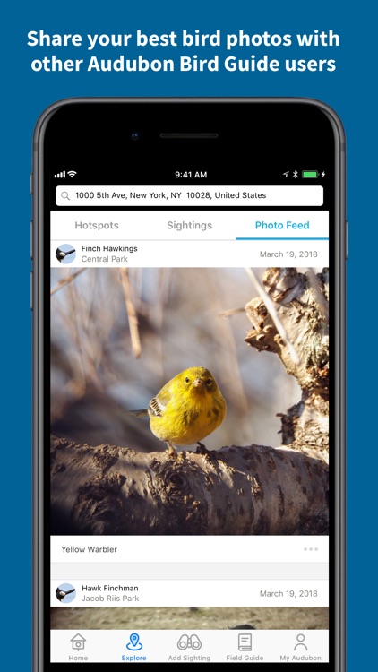 Audubon Bird Guide screenshot-4