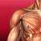 Elastoplast has continued its strong commitment to Sports Injury Management with the Elastoplast Injury Management application