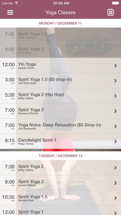 Spirit Yoga Studios screenshot 3