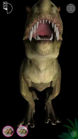 Game screenshot Maloka Trex mod apk