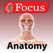Junior Anatomy Atlas