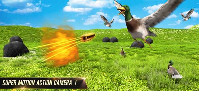 SCARICA GIOCHI DI CACCIA ALLE ANATRE GRATIS DA