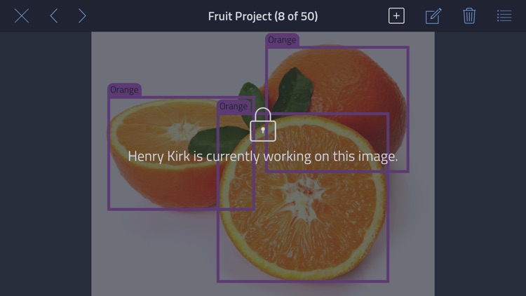 Labelocity - Image Annotation screenshot-3