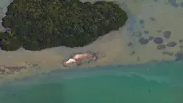 Game screenshot Florida Tides & Fishing Regs hack