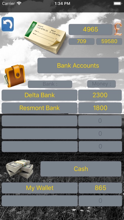 Budget Flow - Expenses, Income screenshot-3