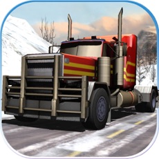 Activities of Truck Car Racing Game 3D