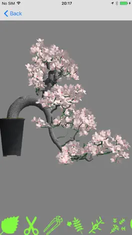 Game screenshot Bonsai Master hack