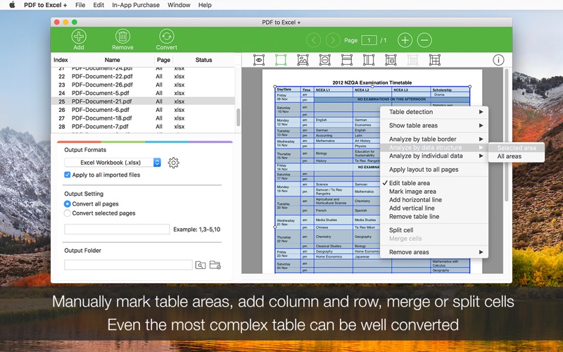 PDF to Excel +