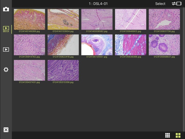 DS-L4 Viewer(圖4)-速報App