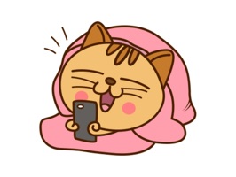 Kuchi the Cat