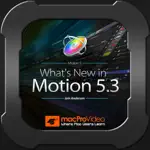 Video Editing 100, Motion 5.3 App Support