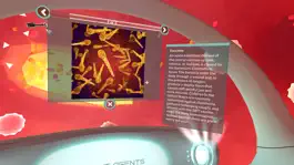 Game screenshot PI VR Human Body hack