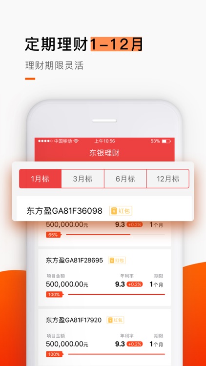 东银金融