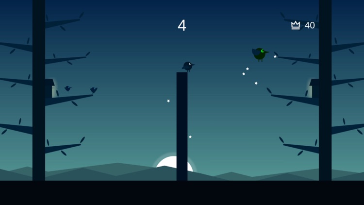 Bird Cross screenshot-6