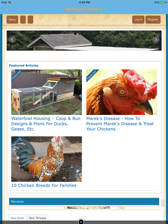 Screenshot #4 pour Backyard Chickens (BYC)