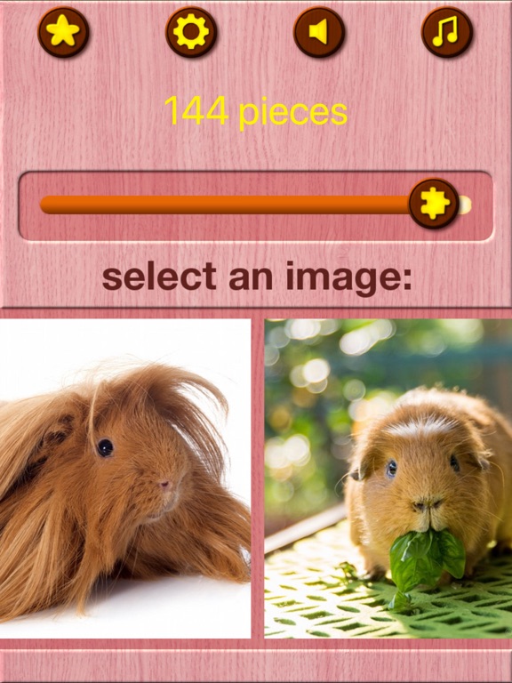 Guinea Pig Jigsaw Puzzle Games iPad screenshot 6 - Games app