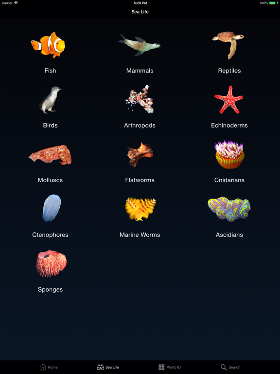 Screenshot #4 pour Sea Life Australia