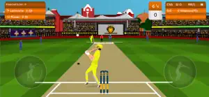 Indian Cricket Premium League screenshot #9 for iPhone