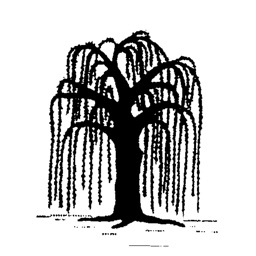 Willow Farm Primary School