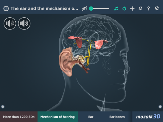 Screenshot #4 pour The mechanism of hearing 3D