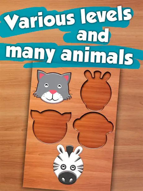 Animal Wooden Puzzle - Riddles