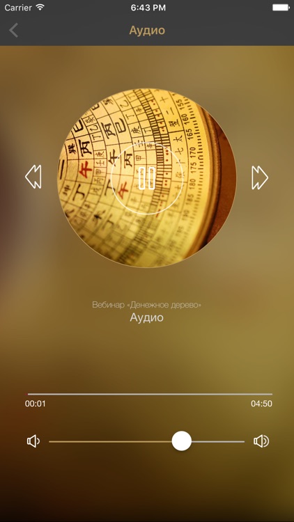 Feng Shui Crazy Journey screenshot-4