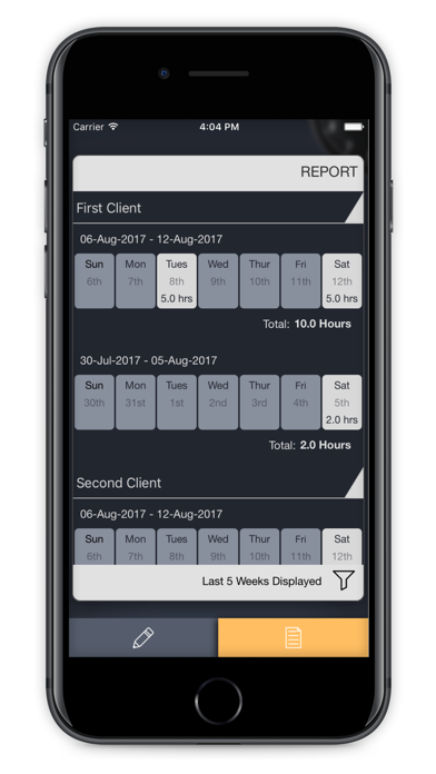 Quick Time Report iPhone screenshot 3 - Productivity app