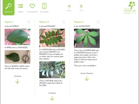 Tree Guide UK - Standard