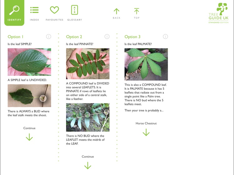 Tree Guide UK - Standard