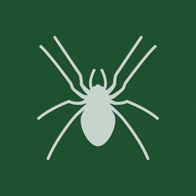 螢幕擷取畫面 (3) Solitaire / Spider