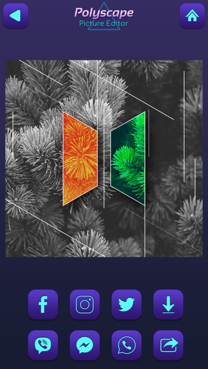 Polyscape Picture Editor screenshot-4