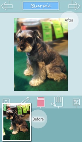 Blurpic - あなたの写真をぼかしで印象的なものに -のおすすめ画像4