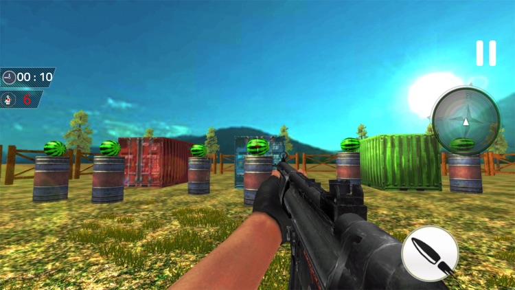 Watermelon Shooting Adventure