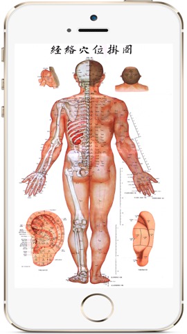 全套高清人体穴位图のおすすめ画像1