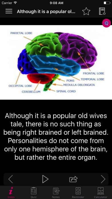Human Brain Facts & Quiz 2000 screenshot 2